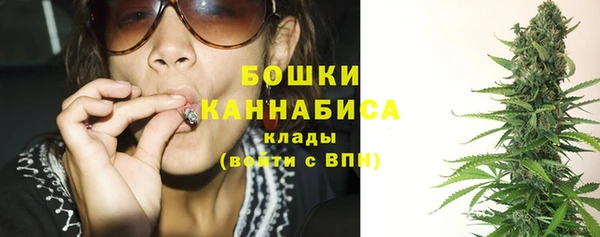 соль ск Абаза