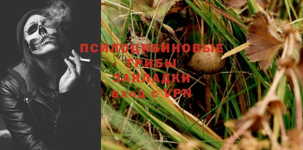 спайс Алзамай
