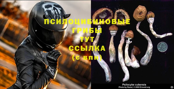 спайс Алзамай