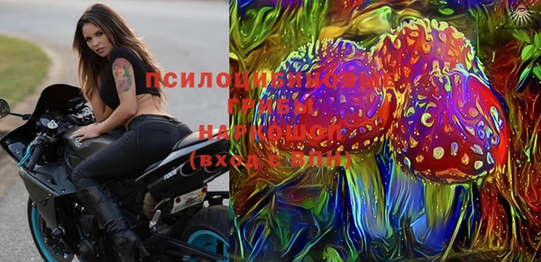 спайс Алзамай